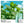 Load image into Gallery viewer, ICEMAX 12000 BUNDLE (1O PCS)