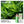 Load image into Gallery viewer, ICEMAX 12000 BUNDLE (1O PCS)