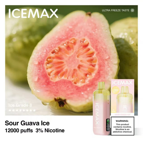 ICEMAX 12000 Puffs - B & J Wholesale