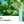 Load image into Gallery viewer, ICEMAX 12000 Puffs - B & J Wholesale