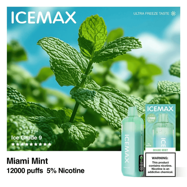 ICEMAX 12000 Puffs - B & J Wholesale
