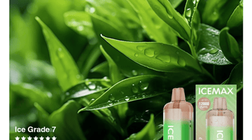 Icemax Review & Analysis: Flavor, Uniqueness, and Why It’s So Popular - B & J Wholesale