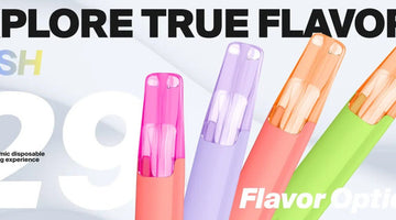 ❄️ What is SnowPlus? 🧊 IceMax / ICEMAX 12 000-Puff Disposable - B & J Wholesale