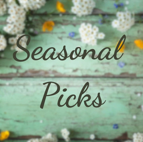 Lifestyle & Seasonal Picks