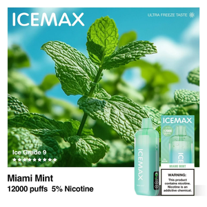 ICEMAX 12000 Puffs