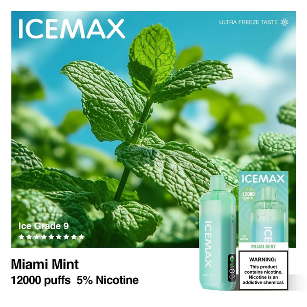 ICEMAX 12000 Puffs