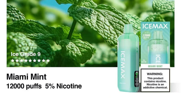 ICEMAX 12000 Puffs Disposable