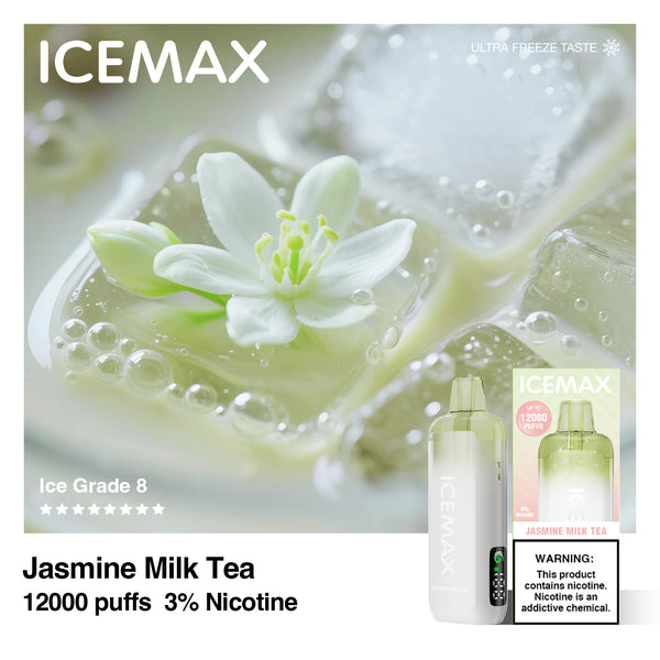 ICEMAX 12000 Puffs