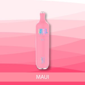 FLUM FLOAT 3000 Puffs Disposable - B & J Wholesale