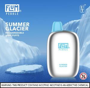 FLUM PEBBLE DISPOSABLE VAPE 5% NICOTINE - B & J Wholesale