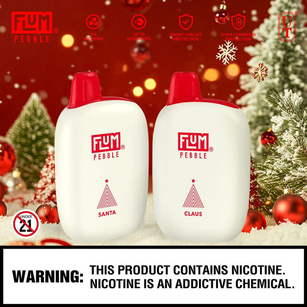 FLUM PEBBLE DISPOSABLE VAPE 5% NICOTINE - B & J Wholesale