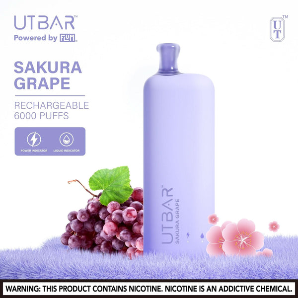 Bar Disposable Vape Flum Pebble Aloe Grape Disposable Vape - Vape Flum UT Bar Bar Disposable Vape Flum Pebble Aloe Grape Disposable Vape - Vape Flum UT Bar