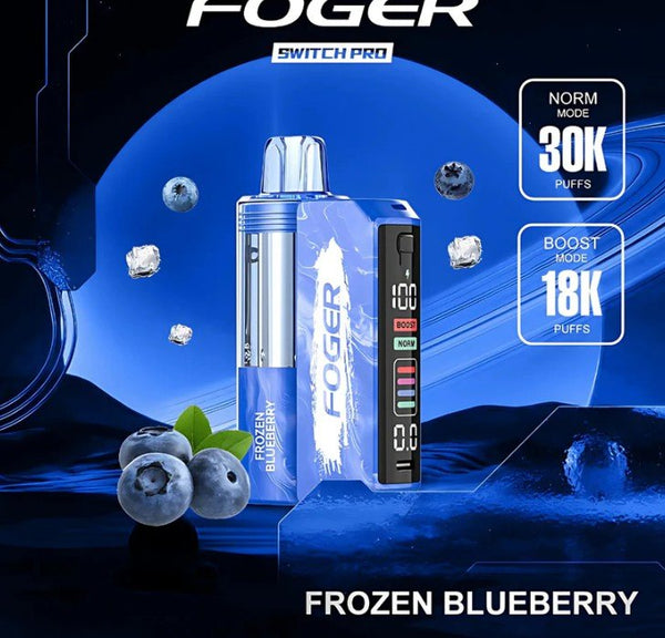 FOGER SWITCH PRO 30K DISPOSABLE - B & J Wholesale