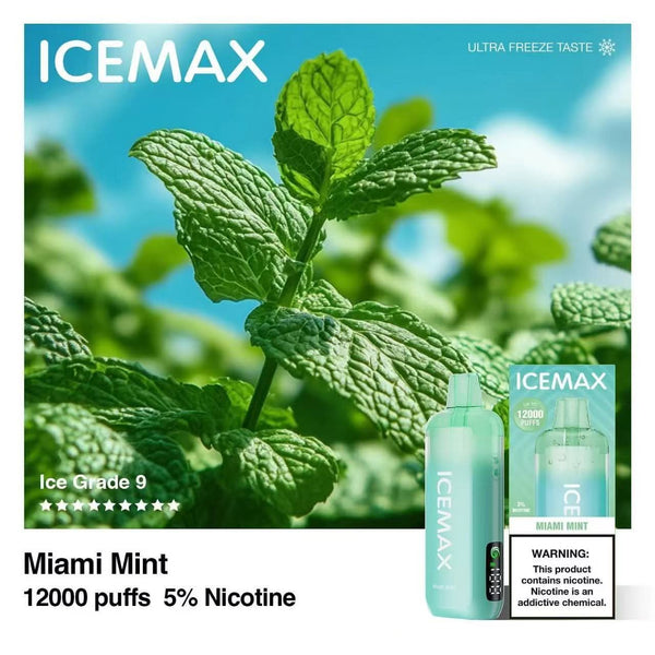 ICEMAX 12000 BUNDLE (1O PCS) - B & J Wholesale