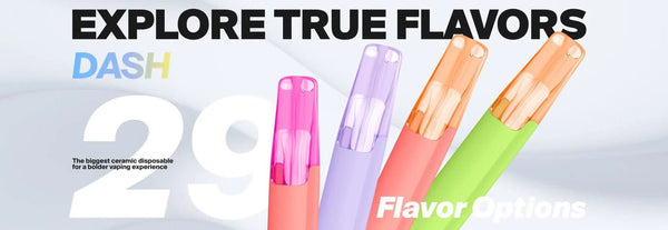 Snowplus DASH 4000 Disposable - B & J Wholesale